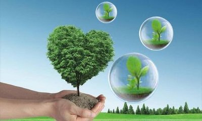 揭秘“會呼吸”負離子學習桌熱銷背后 生態環境材料銷售新風向