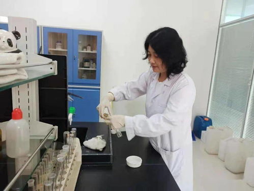 鄒城市2025年7月8日生態環境工作動態 聚焦環境材料銷售助力綠色發展