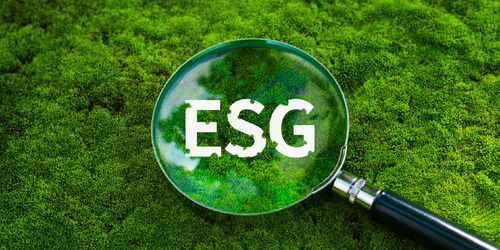 上半年我國生態(tài)環(huán)境質(zhì)量持續(xù)改善，環(huán)保材料市場迎來發(fā)展新機(jī)遇